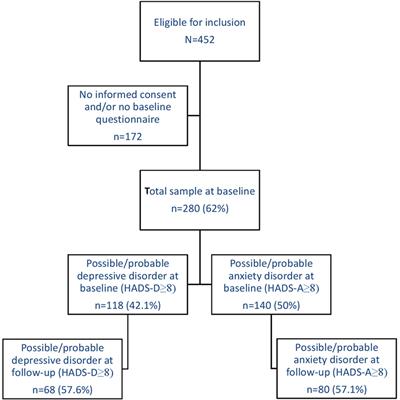 Poor Illness Perceptions Are a Risk Factor for Depressive and Anxious Symptomatology in Fibromyalgia Syndrome: A Longitudinal Cohort Study